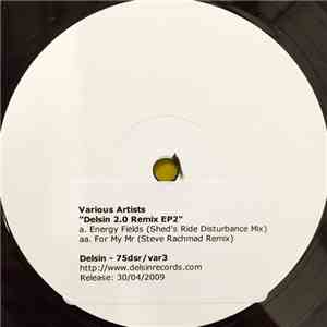 Various - Delsin 2.0 Remix EP 2 download mp3