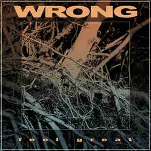 Wrong  - Feel Great download mp3