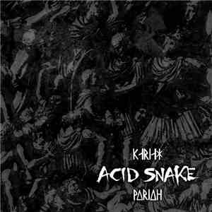 Acid Snake - Pariah download mp3