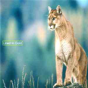Various - Breaking The Back Of Tek: Vol. 19 - Lined In Gold download mp3