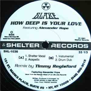 Blaze Featuring Alexander Hope - How Deep Is Your Love download mp3