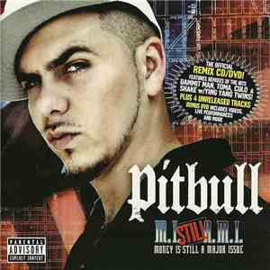 Pitbull - Money Is Still A Major Issue download mp3