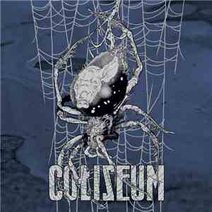 Coliseum  - True Quiet / Last Wave download mp3