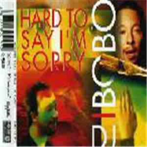 DJ BoBo - Hard To Say I'm Sorry download mp3
