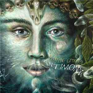Flooting Grooves - Antimony download mp3