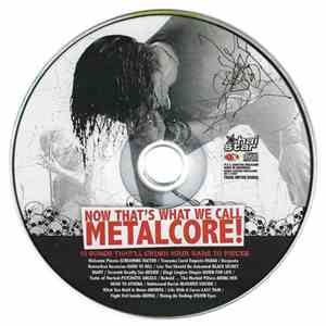 Screaming Factor - Now That’s What We Call Metalcore mp3 download