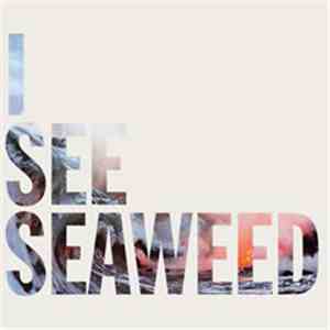The Drones  - I See Seaweed download mp3