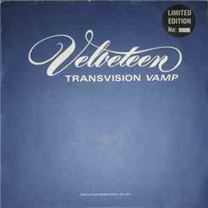 Transvision Vamp - Velveteen download mp3