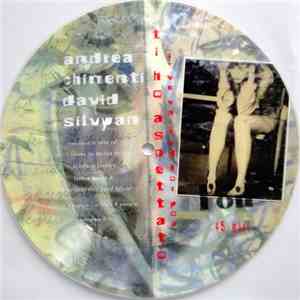 Andrea Chimenti, David Sylvian - Ti Ho Aspettato - I Have Waited For You mp3 download