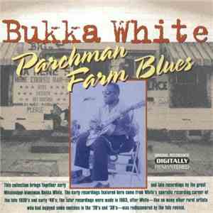Bukka White - Parchman Farm Blues mp3 download