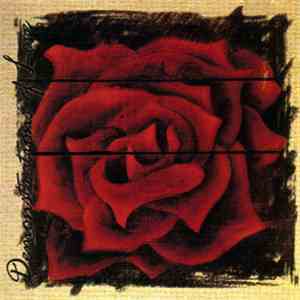 Various - Demonstrations Of Love download mp3