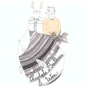 Christophe Bailleau & Won - Free Bees Full Of Light download mp3