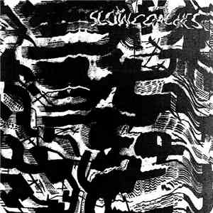 Slowcoaches - Thinkers download mp3