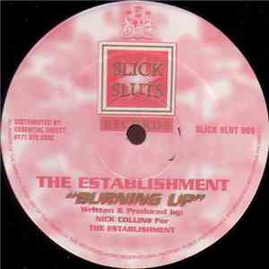 The Establishment - Burning Up download mp3