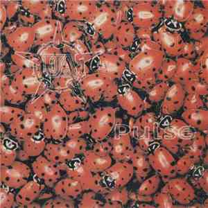 Unfit Association - Pulse download mp3