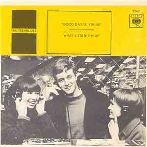 The Tremeloes - Good Day Sunshine/ What a State I'm In download mp3