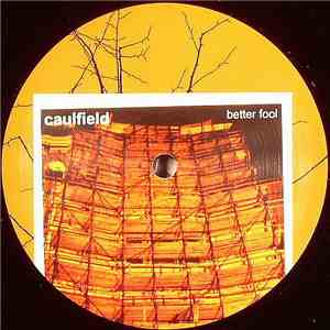 Caulfield - Better Fool download mp3