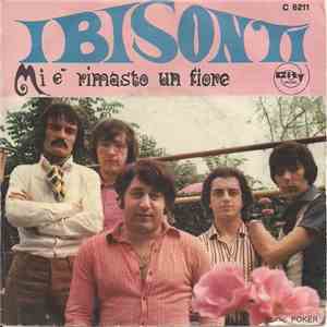 Bruno Castiglia E I Bisonti - Mi E' Rimasto Un Fiore download mp3
