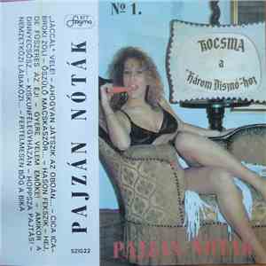 Unknown Artist - Pajzán Nóták download mp3