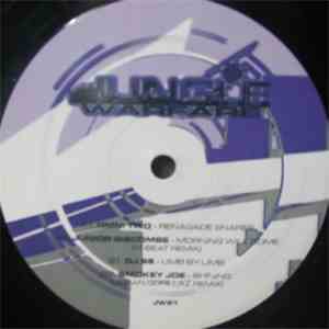 Various - Jungle Warfare Vol. 21 download mp3