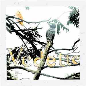 Vedette - I Slept Moments For You download mp3