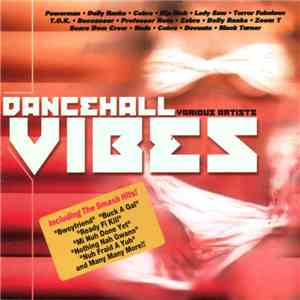 Various - Dancehall Vibes download mp3