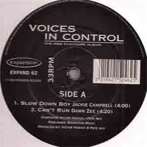 Voices In Control - The R&B Flavours Album download mp3