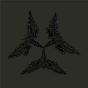 Brown  - Lepidoptera download mp3