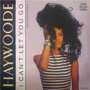 Haywoode - I Can't Let You Go (Detroit Extended Mix) download mp3
