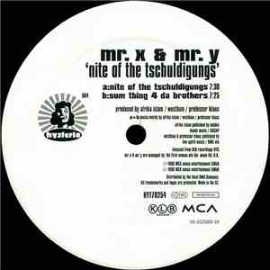 Mr. X & Mr. Y - Nite Of The Tschuldigungs download mp3