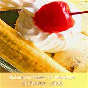 Endometrium Cuntplow vs. Buzzardhawk - Go Banana ...Split download mp3