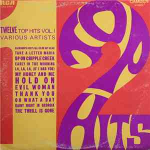 Various - Twelve Top Hits Vol.1 download mp3
