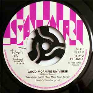 Toyah - Good Morning Universe download mp3