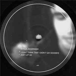 Attila Jahanvash - I Don't Think That I Didn't Say Goodbye download mp3