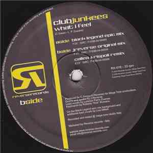 Club Junkees - What I Feel download mp3