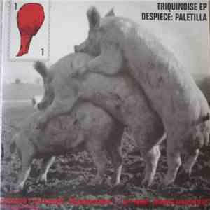 Various - Triquinoise EP Despiece: Paletilla download mp3