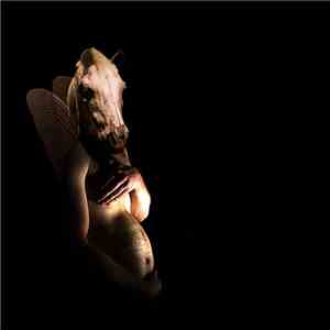 Horse Gives Birth To Fly - Aménorrhée Tertiaire download mp3