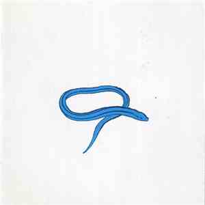 Crooked Fingers - Bring On The Snakes download mp3