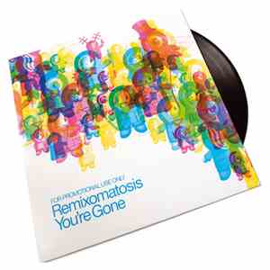 Remixomatosis - You're Gone download mp3