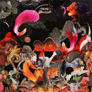 Bezoar  - Wyt Deth download mp3