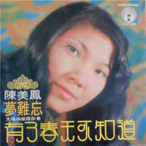 陳美鳳 - 有了春天不知道 download mp3