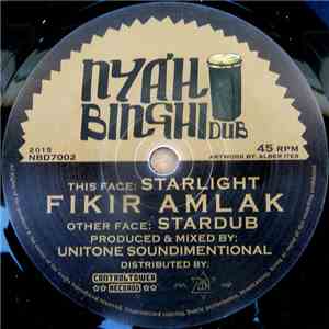 Fikir Amlak - Starlight download mp3