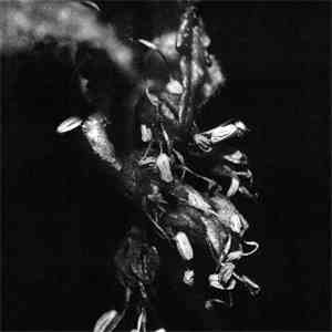 Mike Shiflet - Sufferers download mp3