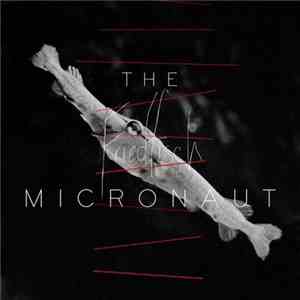 The Micronaut - Friedfisch download mp3
