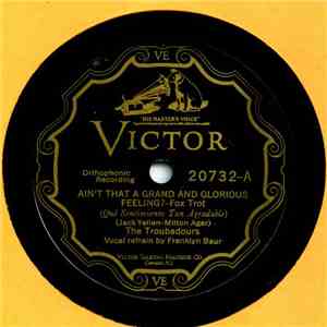 The Troubadours  - Ain't That A Grand And Curious Feeling? / Just Like A Butterfly download mp3