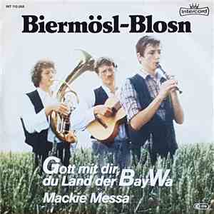 Biermösl Blosn - Gott mit dir, du Land der BayWa download mp3