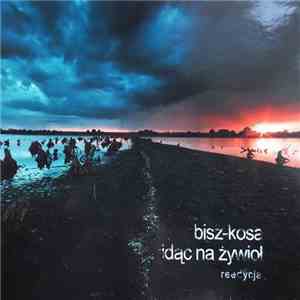 Bisz - Kosa  - Idąc Na Żywioł download mp3