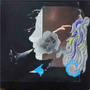 Dirty Sound System - Dirty French Psychedelics: Selected By Dirty Sound System download mp3