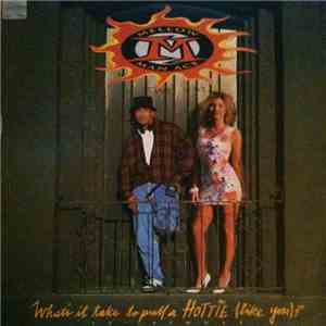 Mellow Man Ace - What's It Take To Pull A Hottie (Like You)? download mp3