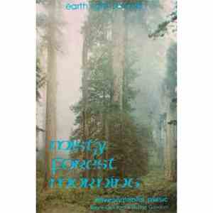 Steve Gordon ● David Gordon - Misty Forest Morning download mp3
